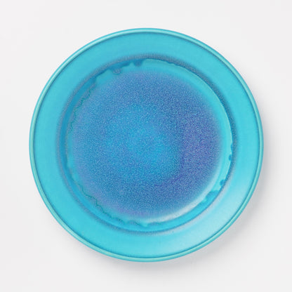 Nobuyuki Hagiwara Plate L