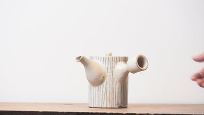 Toshinobu Araya Ryukakugama Kohiki Tea Pot