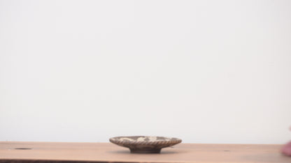Naoto Tanii Mini Plate