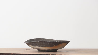 Shigarakiyaki Hakeme Brushed Glaze Plate Woodfired