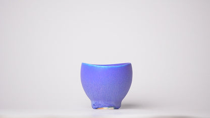 Nobuyuki Hagiwara Sake Tea Cup