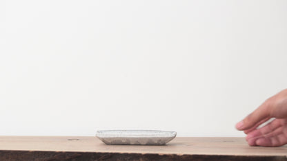 Takuya Ohara Cracked Glaze Mini Plate