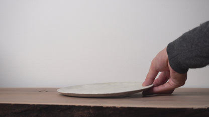 Mutsumi Ohashi Ash Glaze Dinner Plate