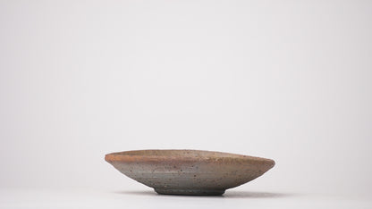 Shikamaru Takeshita Small Plate Nanban Yakishime Wood Fired