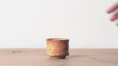 Shigarakiyaki Choko Sakecup Teacup Woodfired