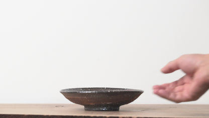 Shigarakiyaki Hakeme Brushed Glaze Plate Woodfired