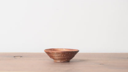 Shigarakiyaki Choko Sakecup Teacup Woodfired