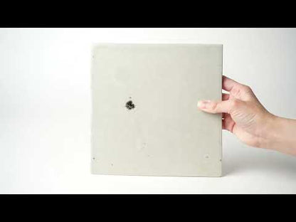 Masato Yamawaki Square Plate
