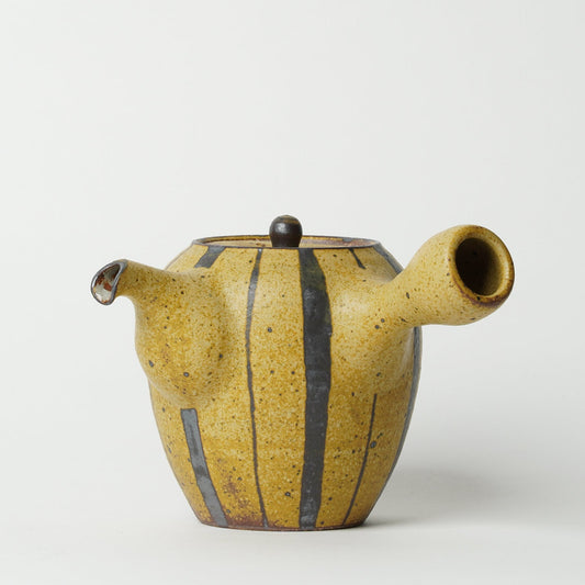 Toshinobu Araya Ryukakugama Tea Pot