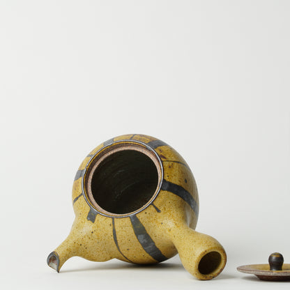 Toshinobu Araya Ryukakugama Tea Pot