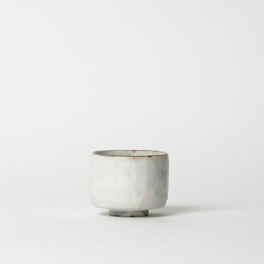 Naoto Tanii Japanese pottery Shigaraki