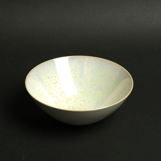 Shota Miyashita Bowl Albus L